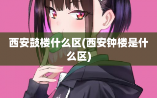 西安鼓楼什么区(西安钟楼是什么区)