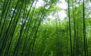 西安周边旅游16个避暑宝藏地，景美人少巨出片！最快30分钟即达！