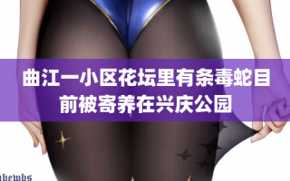 曲江一小区花坛里有条毒蛇目前被寄养在兴庆公园