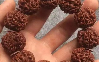 金刚菩提变黑后的重生大法金刚菩提变黑后的区别在哪