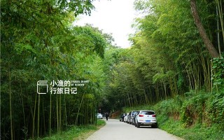 西安小众秘境——楼观台森林公园