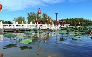 你喜欢古诗吗？跟着唐诗玩转西安会是一种什么体验？
