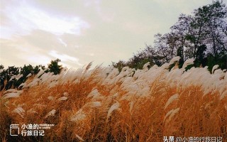 西安旅游休闲西安旅游休闲这是小渔的行旅日记，走走停停，走停停「西安旅游休闲——照金镇」