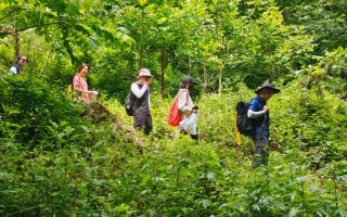 探秘秦岭天然氧吧，寻找英仙座流星雨的踪迹！——西安周一山