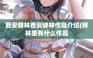 西安碑林西安碑林作品介绍(碑林里有什么作品