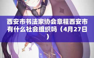西安市书法家协会章程西安市有什么社会组织吗（4月27日）