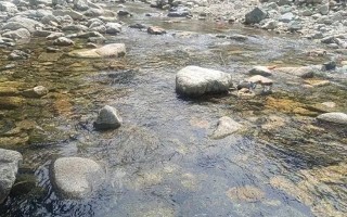 秦岭七十二峪之汤峪河！西安周边玩水，夏天纳凉好去处