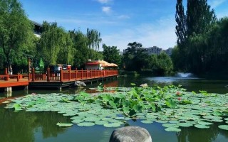 西安经开区休闲公园排名：紫薇湖、紫薇湖、文景山公园「民健身事业发展，进一步推动休闲公园」