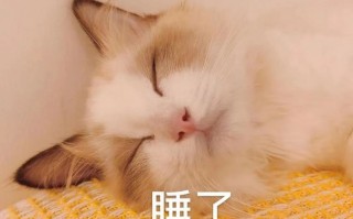 直飙39℃！高温 阵雨轮番暴击西安！热҈冒҈烟҈！