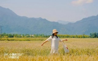 秦岭、乡村、麦浪！随手一拍都是大片西安初夏最治愈的风景！