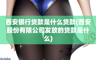 西安银行贷款是什么贷款(西安股份有限公司发放的贷款是什么)