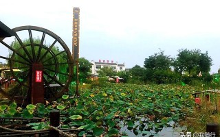 西安茯茶小镇美食与老酸奶在西安往北有这么个好去处「西安室外休闲喝茶的地方」