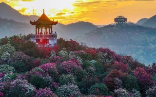 温泉洗浴！闯进花海中的温泉里~冲冲冲！