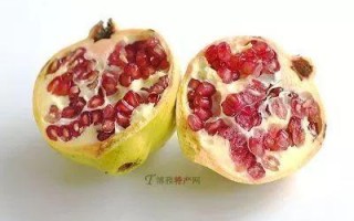 西安特色茶叶是什么「西安特产茶叶哪里买最便宜」