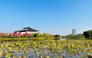 西安世博园，秋季野餐散步好去处