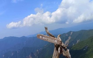 感受20°的夏天！西安周边娱乐，周一山！打卡8条夏日清凉路线！