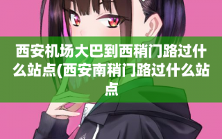 西安机场大巴到西稍门路过什么站点(西安南稍门路过什么站点