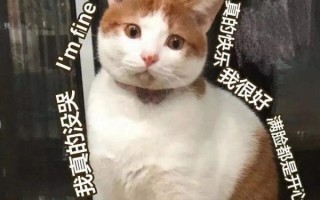 雨雨雨+断崖式降温,西安人挺住!下一次放假还是… 雨雨雨+断崖式降温,西安人挺住!下一次放假还是…