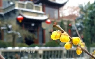 唐朝是皇宫，明朝是王府，现代是将军府！西安这个免费景点不简单