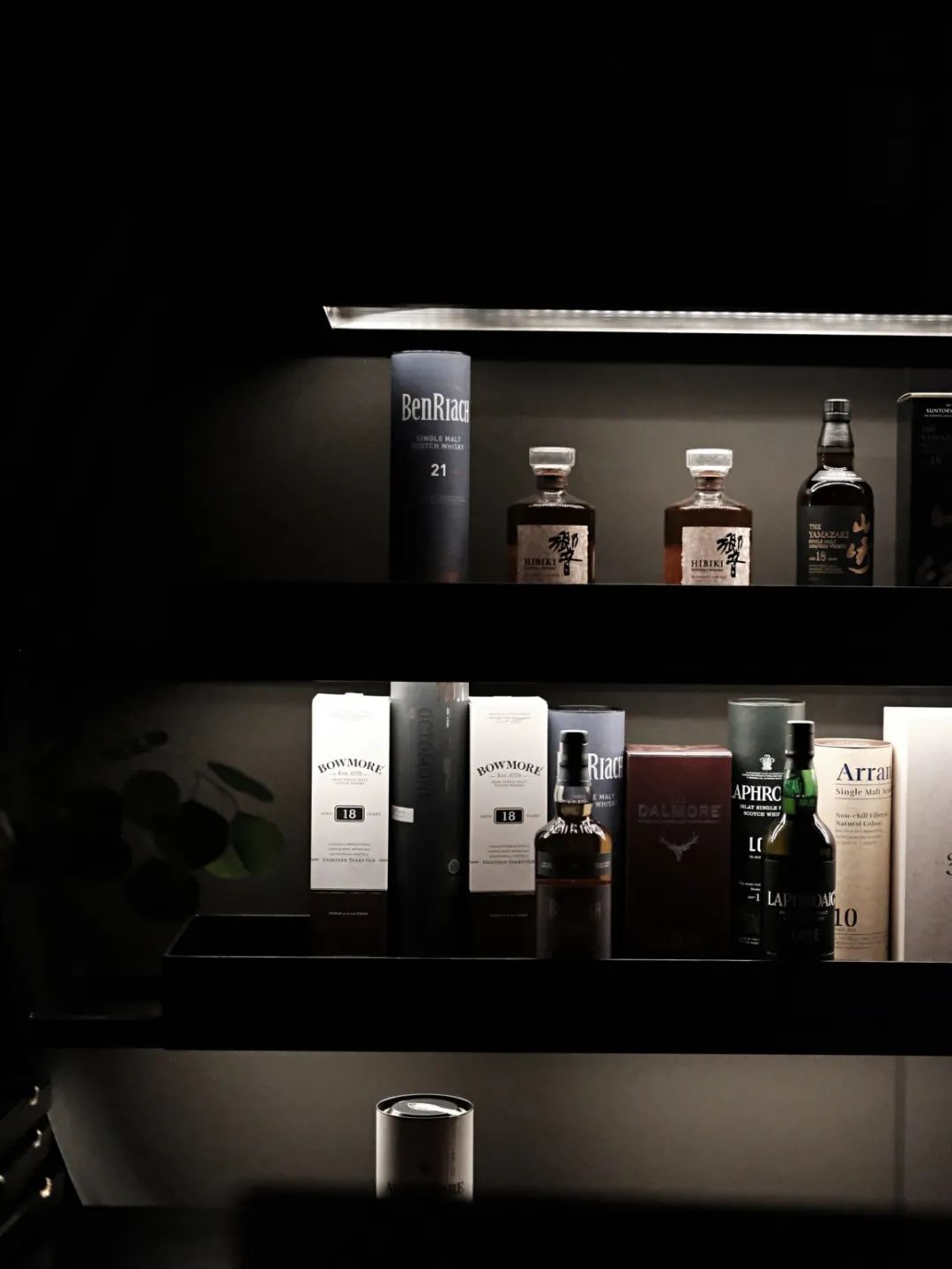 西安这些酒吧酒馆你都打卡过几个？都是年轻人爱去的地方-第44张图片