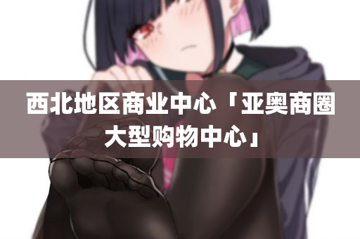 西北地区商业中心「亚奥商圈大型购物中心」