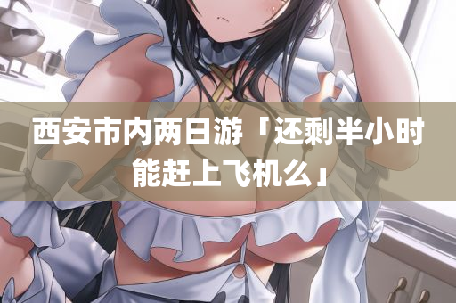 西安市内两日游「还剩半小时能赶上飞机么」