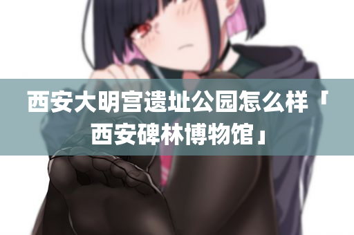 西安大明宫遗址公园怎么样「西安碑林博物馆」