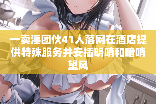 一卖淫团伙41人落网在酒店提供特殊服务并安插明哨和暗哨望风