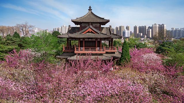 西安古装足浴按摩(西安这几个地方推荐给你) 第9张