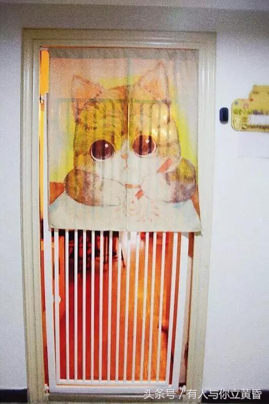 西安猫足浴按摩店(西安那些有猫咪的咖啡馆) 第1张