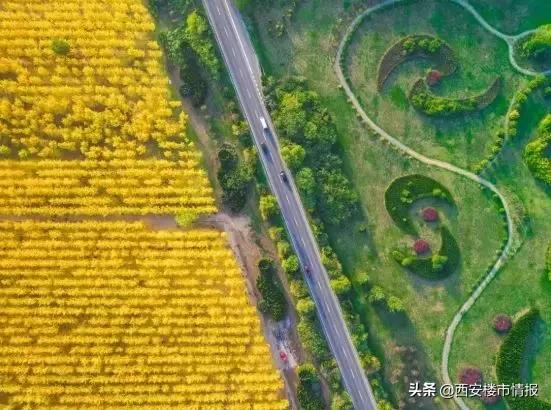西安秦汉公馆足浴按摩(秦汉新城会成为什么样) 第6张