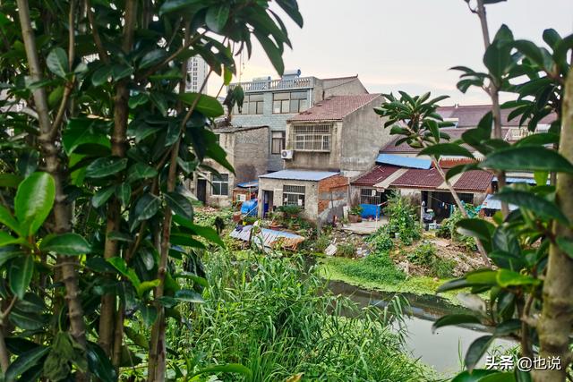 西安鼓楼附近足浴按摩(南京附近小镇一条百米小街12家足疗店) 第3张