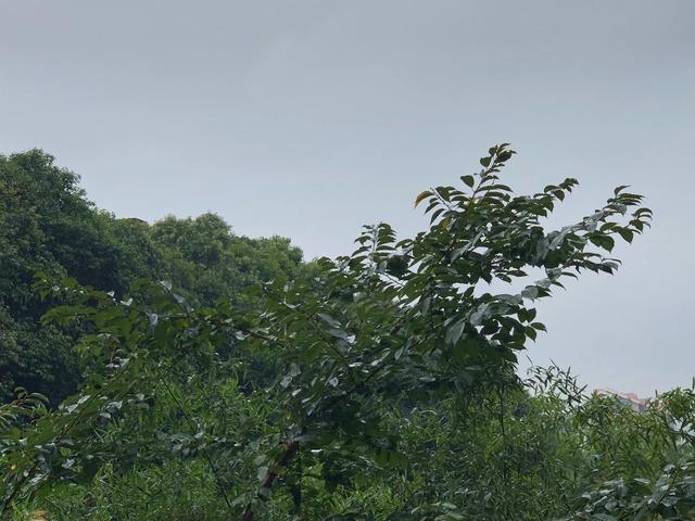 临潼特殊足浴按摩 西安(寻找佛系且优雅的打开方式)  第4张