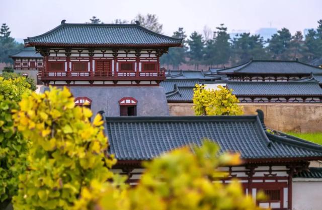 西安西郊最好的足浴按摩(遛娃的十大公园) 第19张