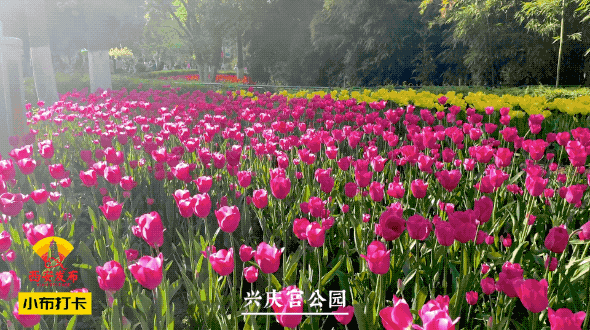 西安足浴按摩大乐所(谁是西安“C位”) 第1张