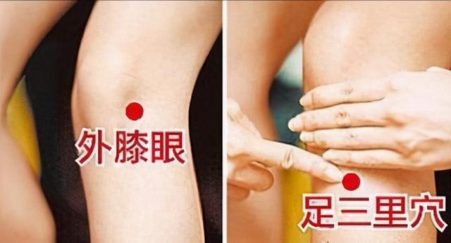 西安足三里足浴按摩(探索足三里和你的胃的秘密)  第3张