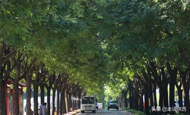 西安北大街足浴按摩(你知道的其实并不多) 第12张