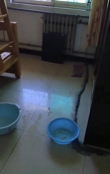 西安二府庄按摩足浴(家里下小雨”西安二府庄新村小区住户急盼改造) 第5张