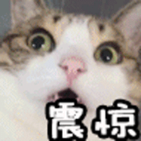 按摩足浴店西安自助烧烤(西安周边不可错过的十大自助烧烤胜地) 第2张