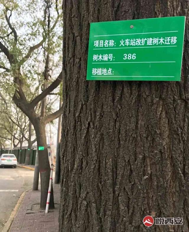 西安自强东路足浴按摩保健(17个月后“变身”下穿隧道) 第11张