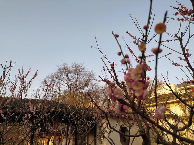 西安熟女兼职凤楼足浴按摩(大隐隐于市的小众园林) 第23张