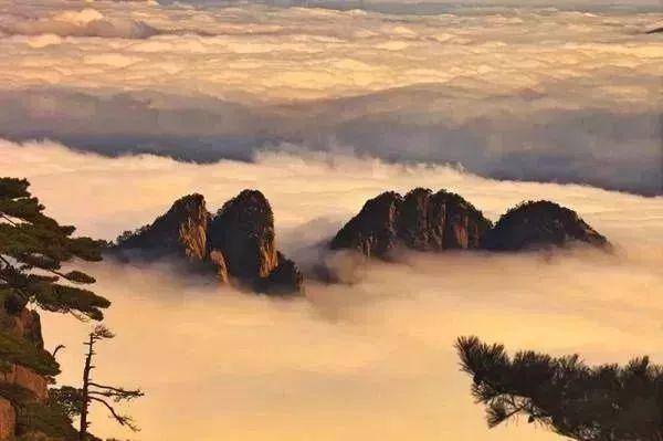 西安香积寺路足浴按摩(沿线经过7个5A级景区)  第19张