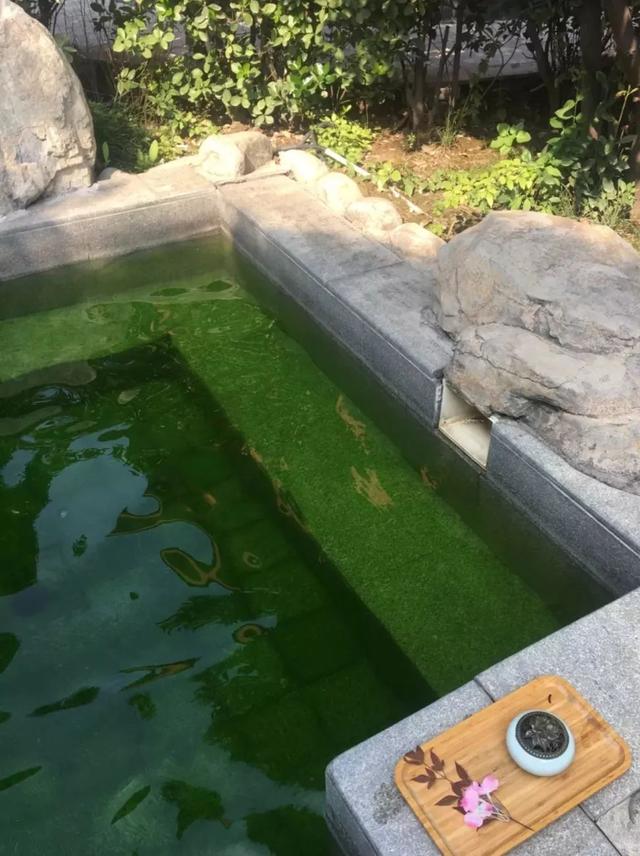 西安大秦温泉附近足浴按摩店(给你最暖的西安泡汤指南) 第26张