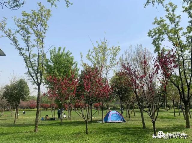 高新足浴按摩西安哪里有(有一个被大家忽略的春游好地方) 第7张