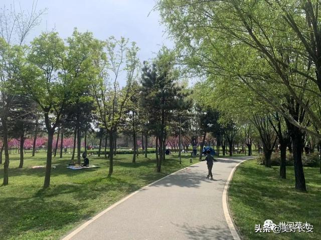 高新足浴按摩西安哪里有(有一个被大家忽略的春游好地方) 第6张