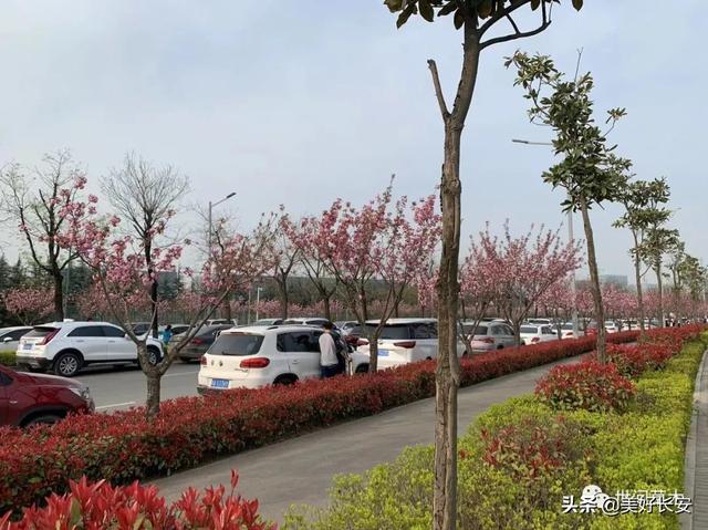 高新足浴按摩西安哪里有(有一个被大家忽略的春游好地方) 第4张