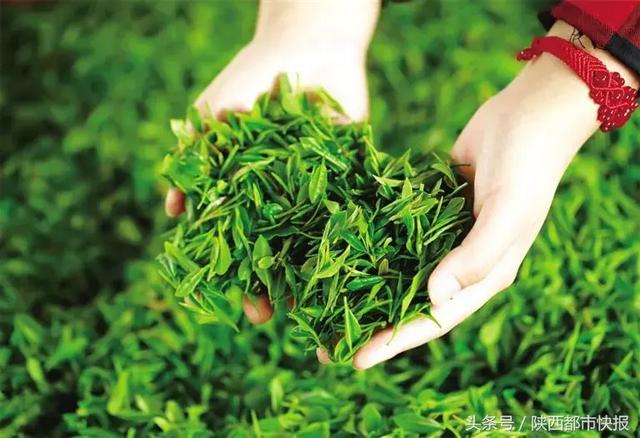 西安按摩足浴文案朋友圈(陕西的这11句城市宣传语) 第21张
