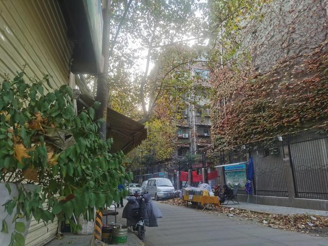 西安纸坊村的足浴按摩(拥有600年历史的西安纸坊村) 第4张