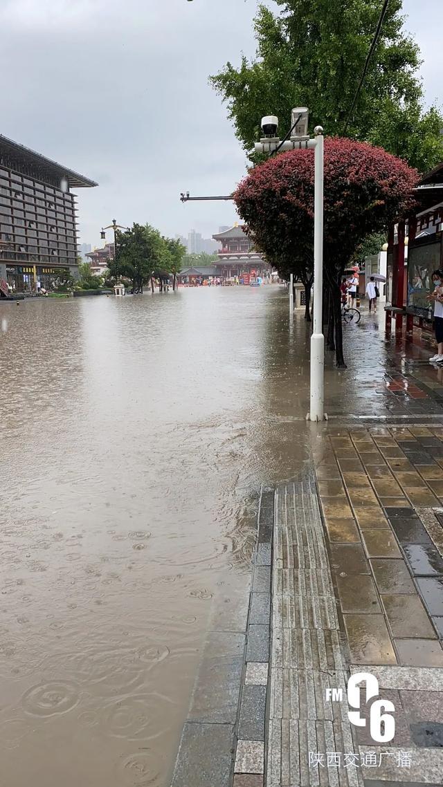西安丰庆路足浴按摩哪里好(大唐芙蓉园进入“看海”模式) 第11张