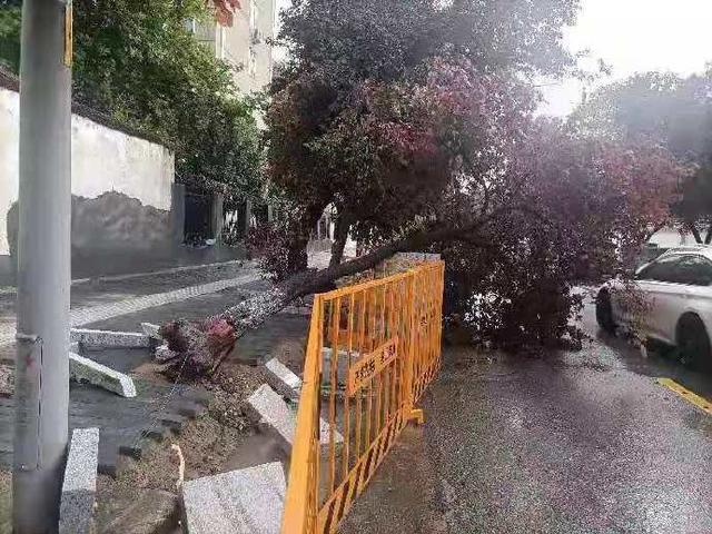 西安丰庆路足浴按摩哪里好(大唐芙蓉园进入“看海”模式) 第15张